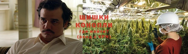 трава Богданович
