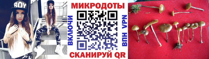 Псилоцибиновые грибы Psilocybine cubensis  ОМГ ОМГ как войти  Пестово 